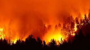 On friends and wildfires